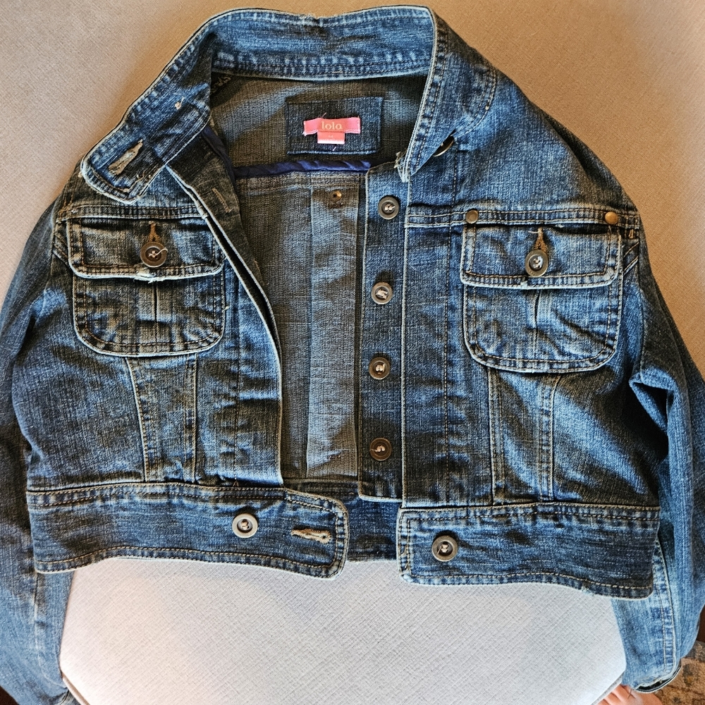 Medium Long Sleeved Cropped Denim Jacket